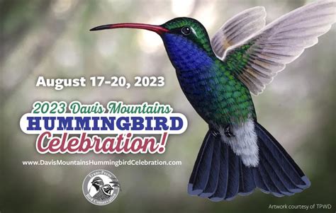  The Hummingbird and the Mountain: An Enchanting Tale of Hope and Persistence!